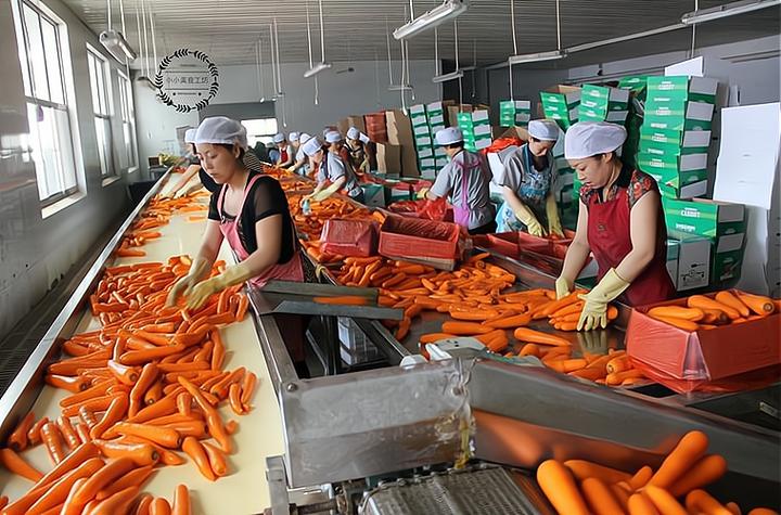绿色食品深加工工厂投资多少钱,以下信息要了解!