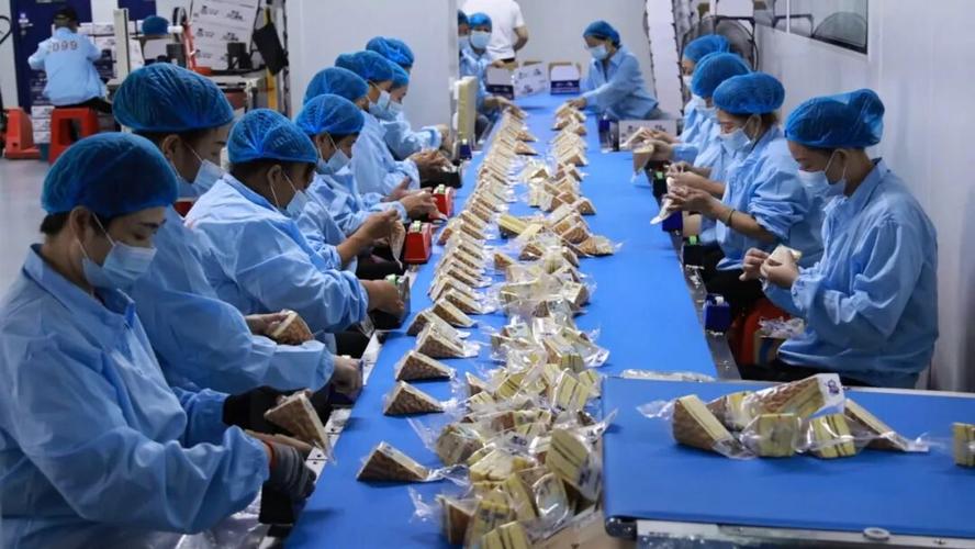 龙海:向"新"而行 赋能食品产业高质量发展
