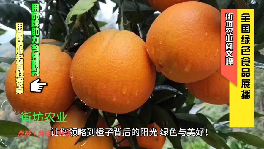 安仁县东南阳光发展的脐橙是绿色食品