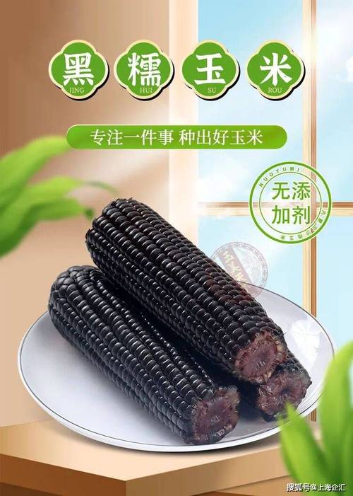 2026长沙国际食品餐饮博览会:内蒙古农老头农业